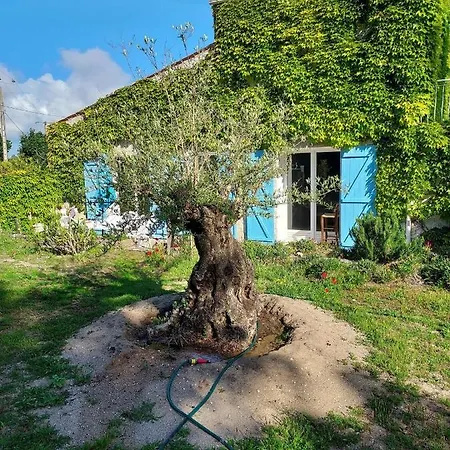 Oleronaise Hébergement de vacances *